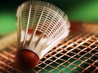 Redes de bádminton, raquetas e postes