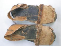 zapatillas