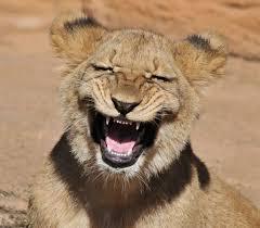 leon riendo
