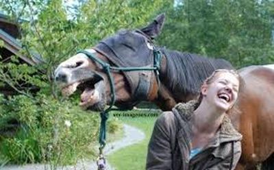caballo que ríe
